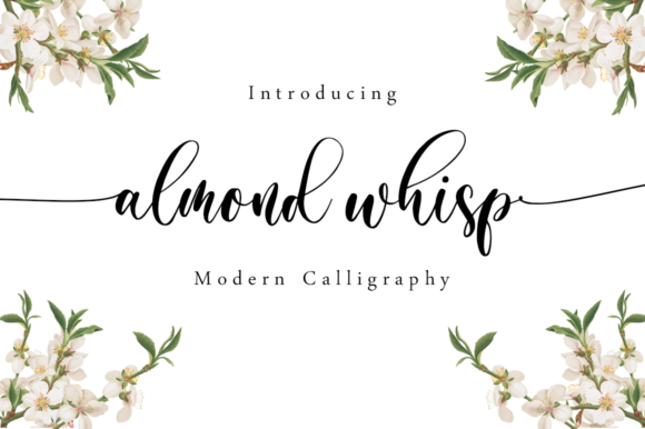 Almond Whisp Font Review: Elegant Script for Branding