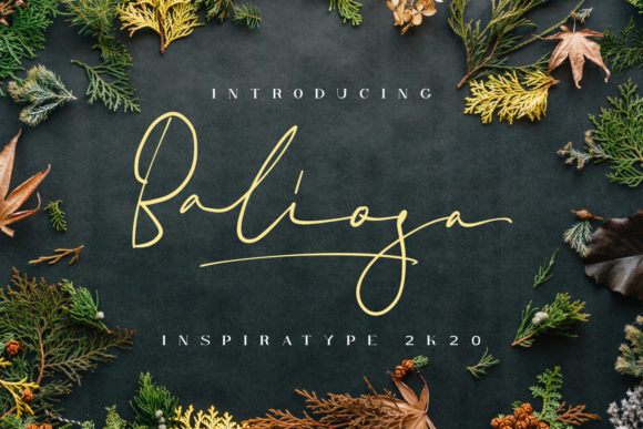 Baliosa Font Review: A Delicate Handwritten Typeface for Web Design