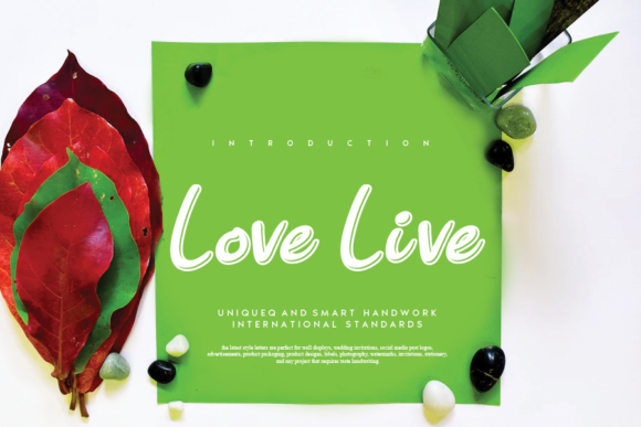 Love Live Font: Elegant Script for Branding