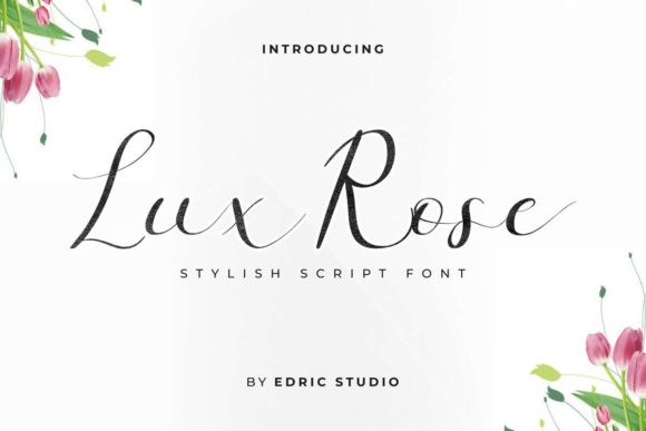Lux Rose: A Designer’s Honest Review for Branding
