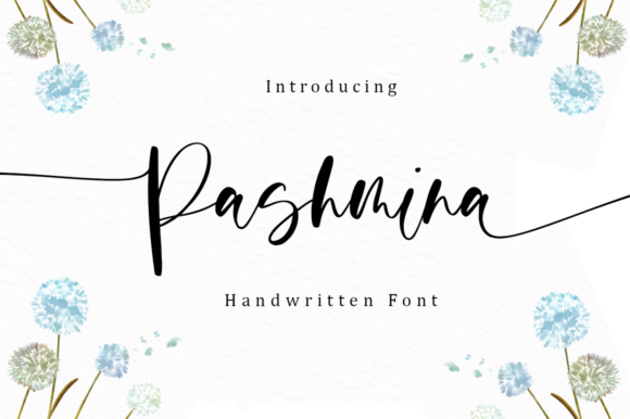 Pashmina Font: A Designer’s Guide to Elegant Branding