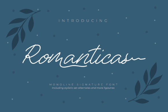 Romanticas: A Designer’s Honest Review for Branding